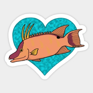 Hogfish Love Sticker